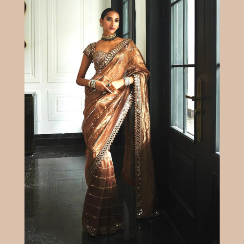 Brown Glossy jimmy choo saree embellished with mirror border