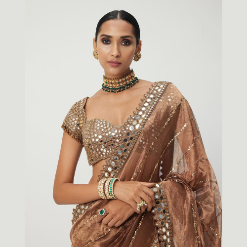 Brown Glossy jimmy choo saree embellished with mirror border