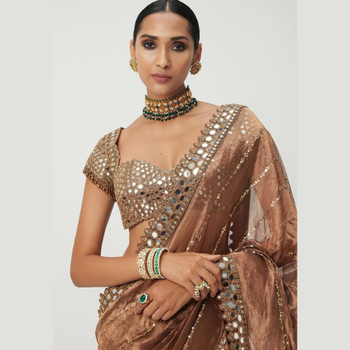 Brown Glossy jimmy choo saree embellished with mirror border