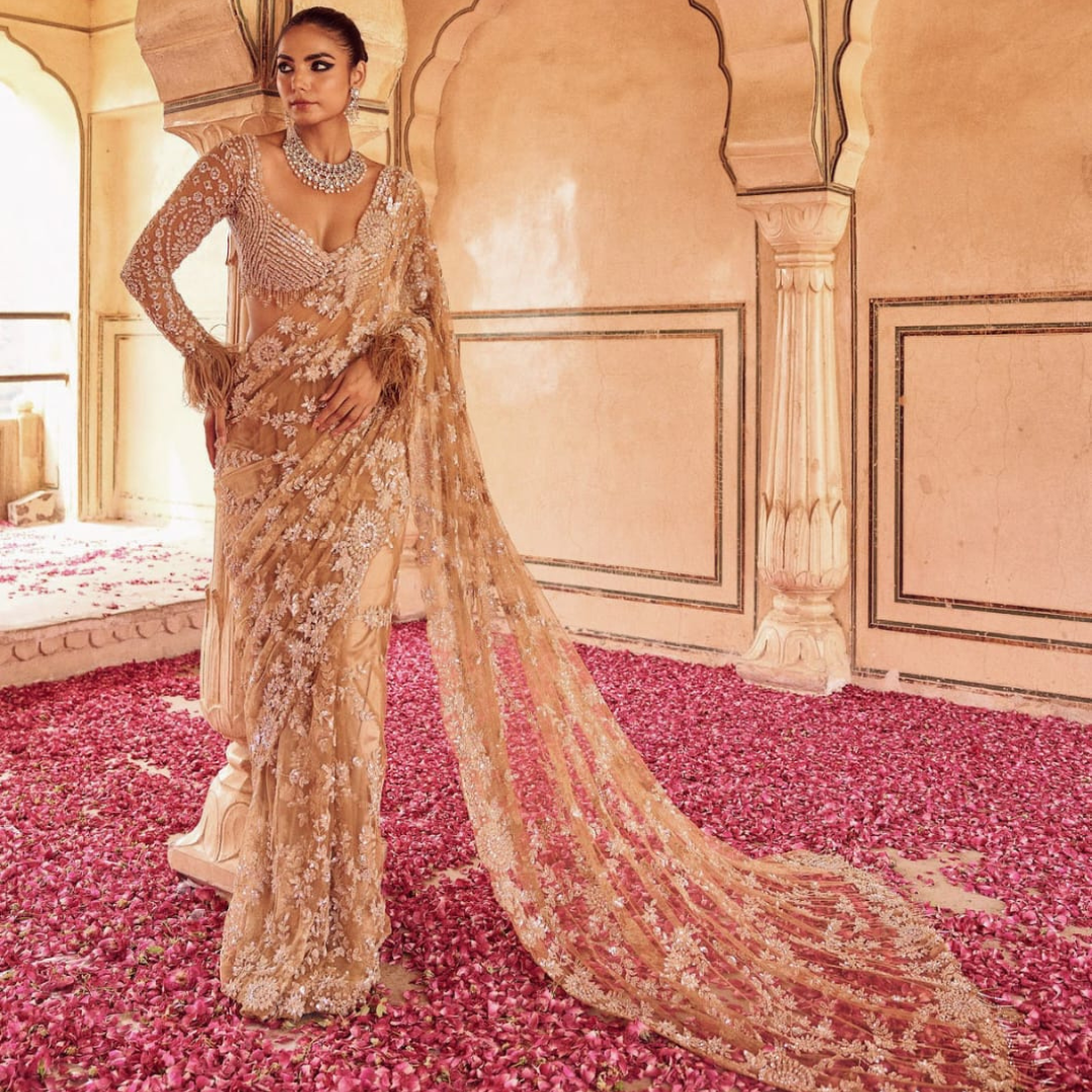 Golden Net saree embellished with Sequin