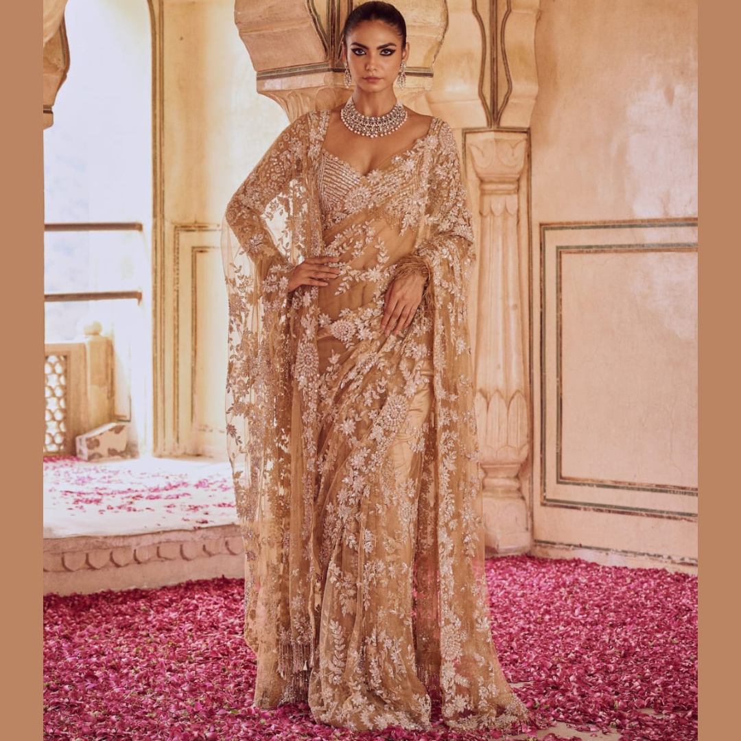 Golden Net saree embellished with Sequin