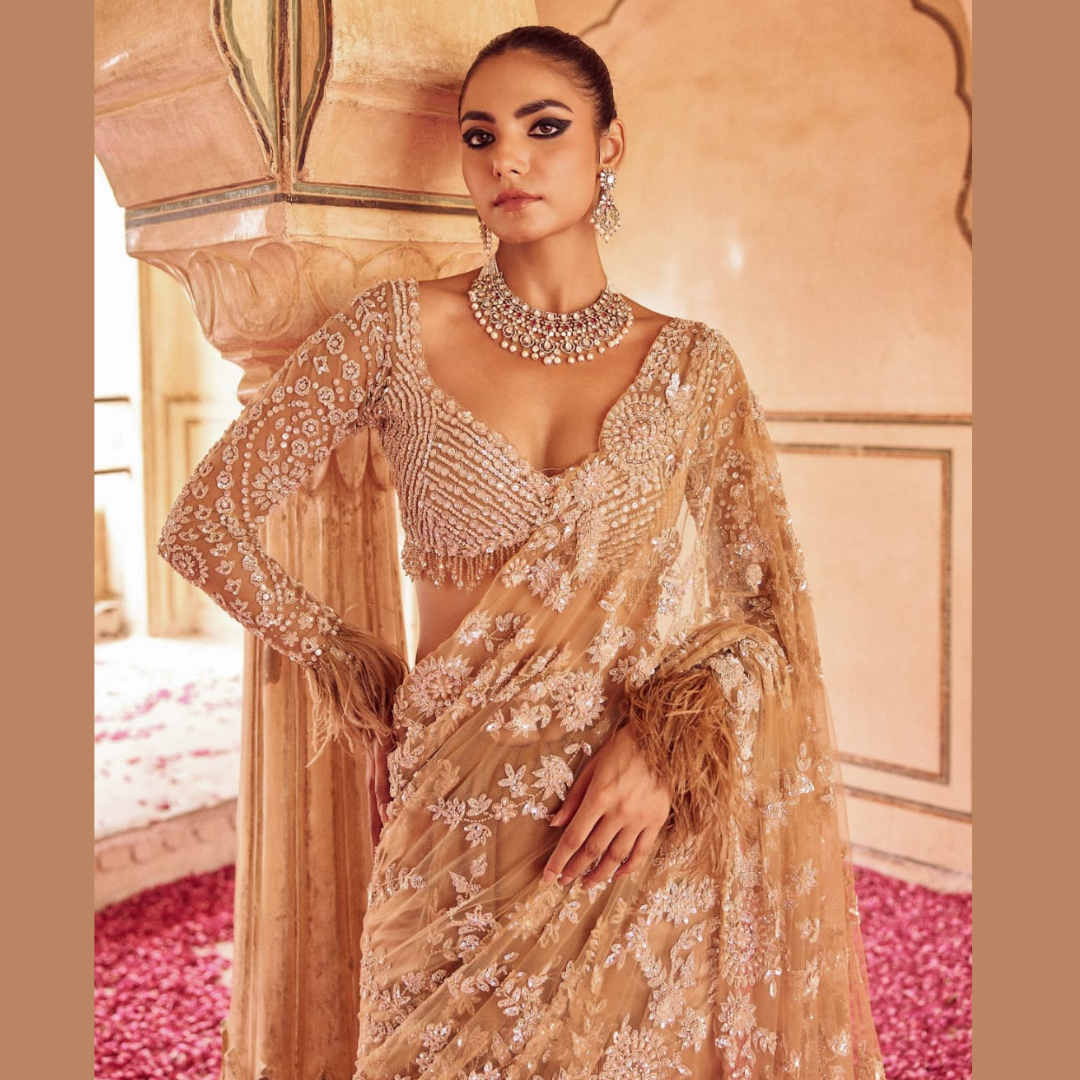 Golden Net saree embellished with Sequin