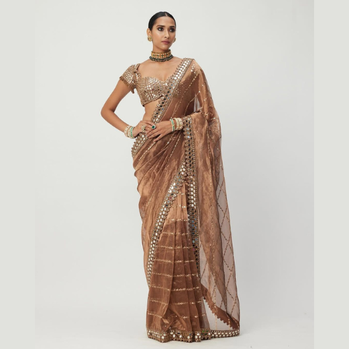 Brown Glossy jimmy choo saree embellished with mirror border
