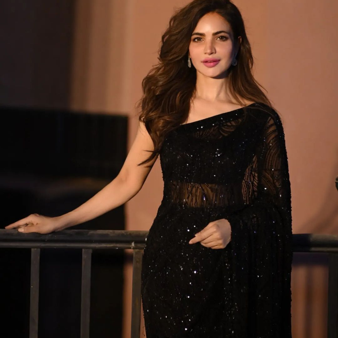A Black Georgette saree embellished with Sequin