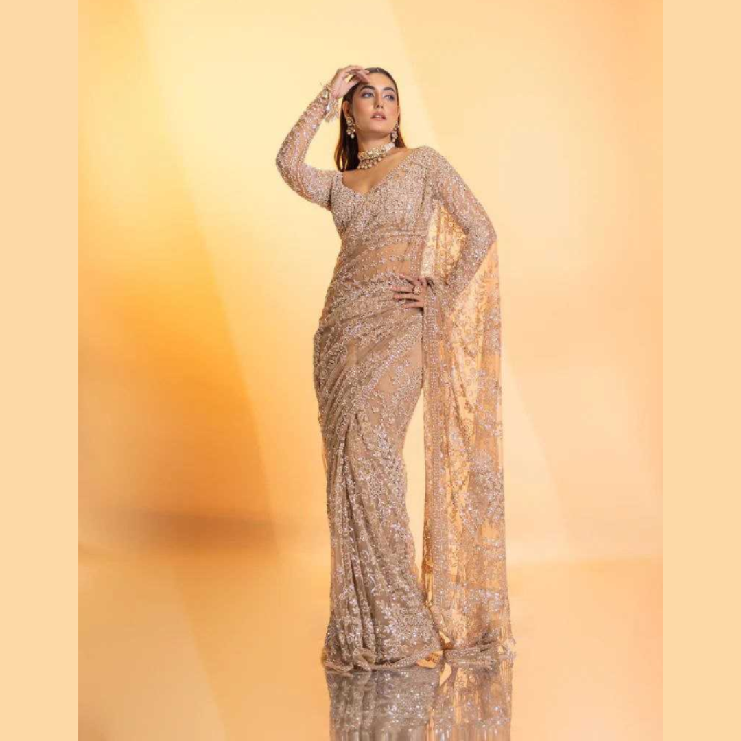 Brownish Net saree embellished with Sequin & Heavy Embroidered Blouse Piece