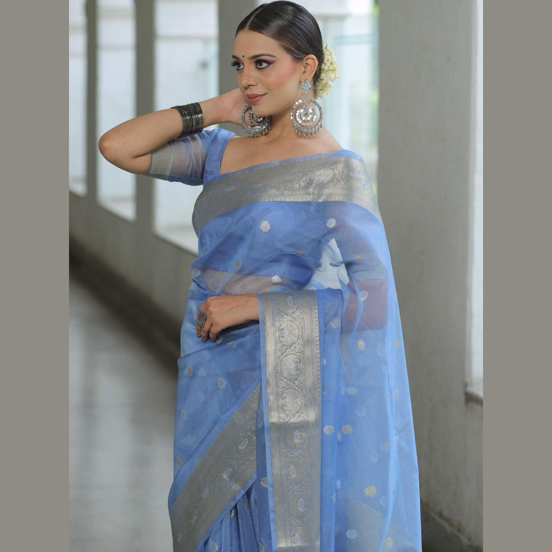 Kanchipuram Organza jacquard Golden Lining Saree With Raw Silk organza running Blouse - Light Blue