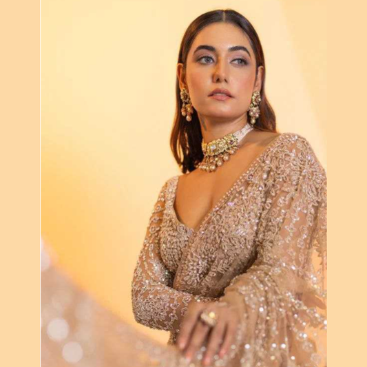 Brownish Net saree embellished with Sequin & Heavy Embroidered Blouse Piece