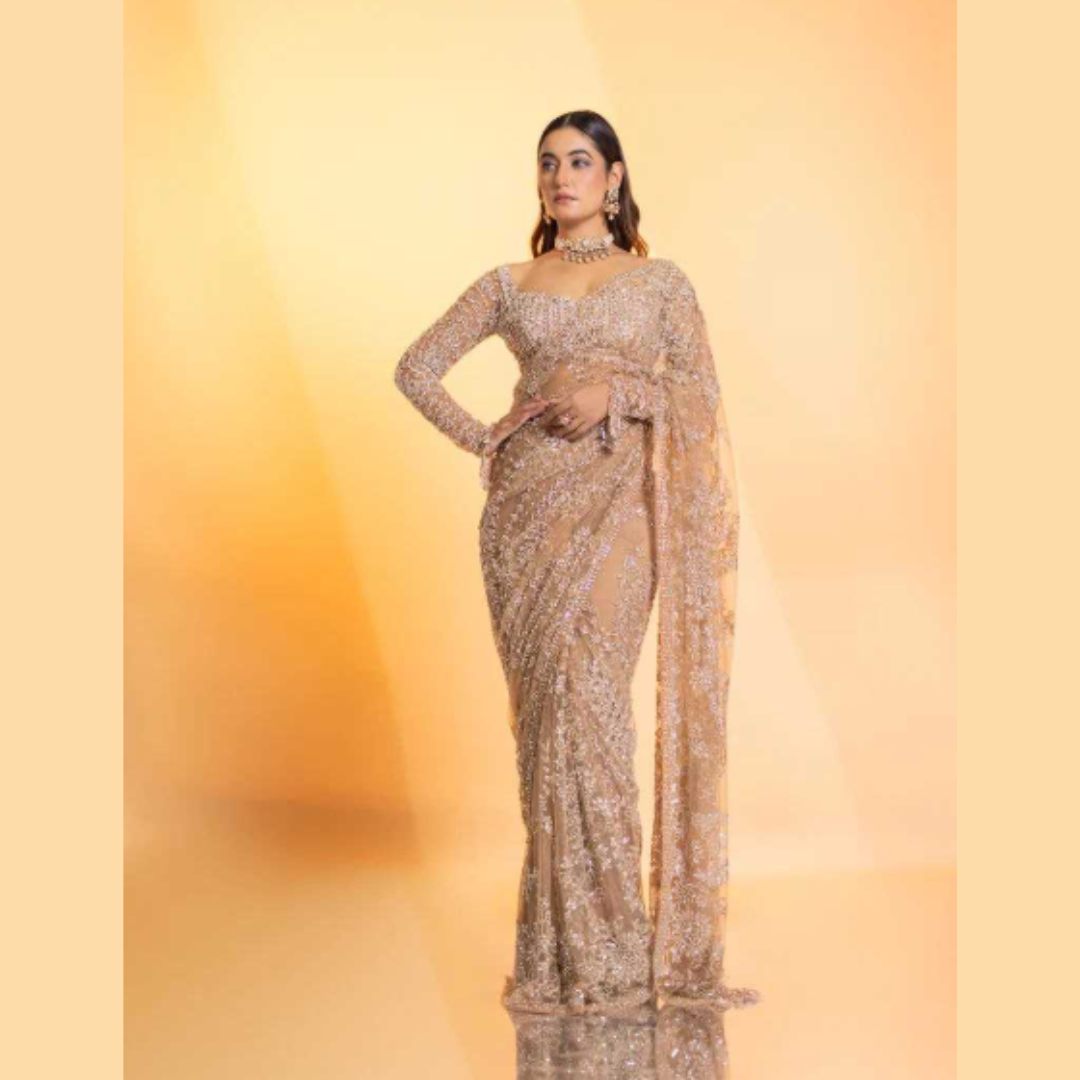 Brownish Net saree embellished with Sequin & Heavy Embroidered Blouse Piece