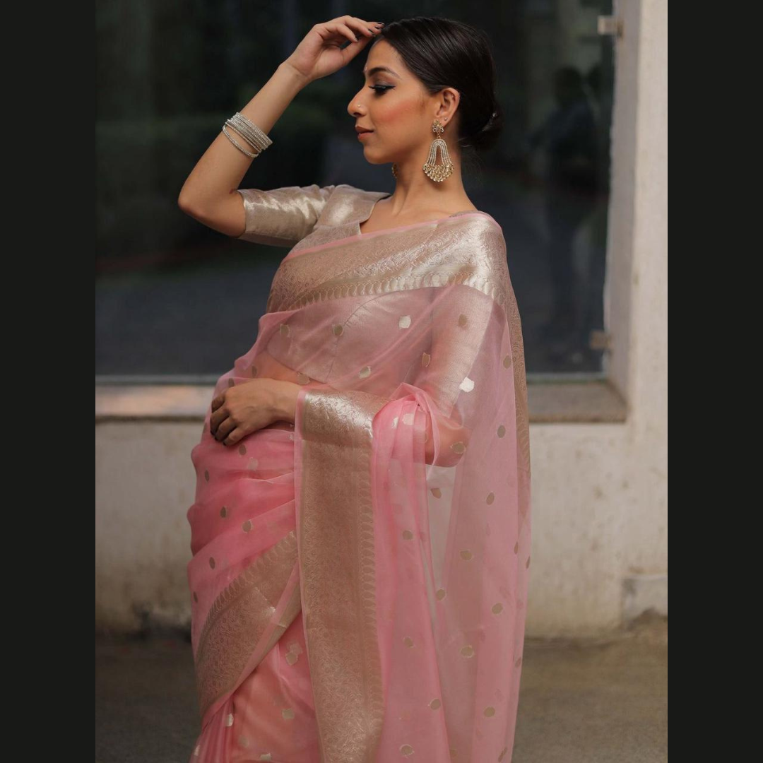 Kanchipuram Organza jacquard Soft Saree With Raw Silk organza running Blouse