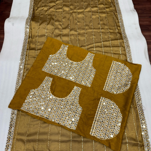 Brown Glossy jimmy choo saree embellished with mirror border